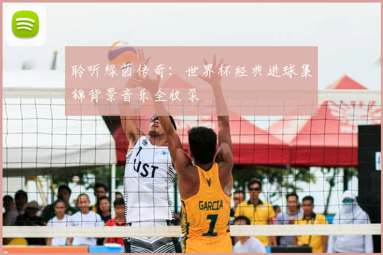 聆听绿茵传奇：世界杯经典进球集锦背景音乐全收录