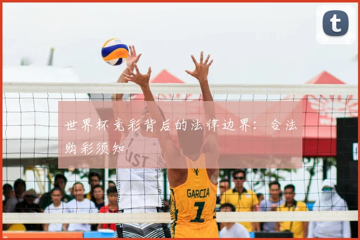 世界杯竞彩背后的法律边界：合法购彩须知