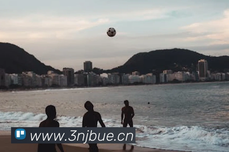 多媒体互动体验